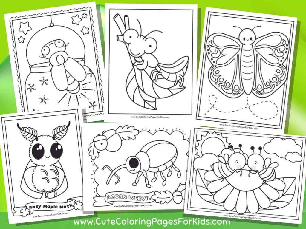 six insect coloring pages for kids with drawings of a moth, weevil, lightning bug, praying mantis, bees, and a butterfly