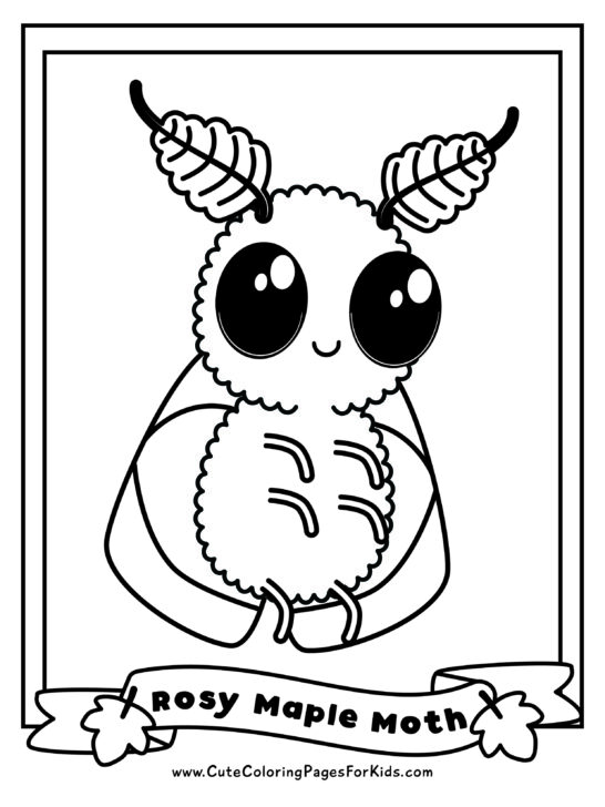 cute Rosy Maple Moth insect coloring page