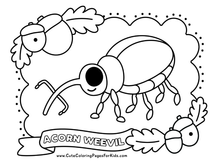 coloring page with cute drawing of an acorn weevil