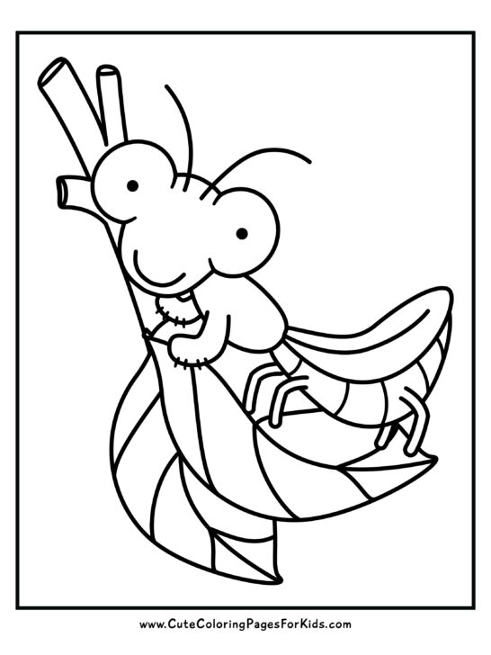 coloring page with drawing of a cute praying mantis standing on a branch with leaves