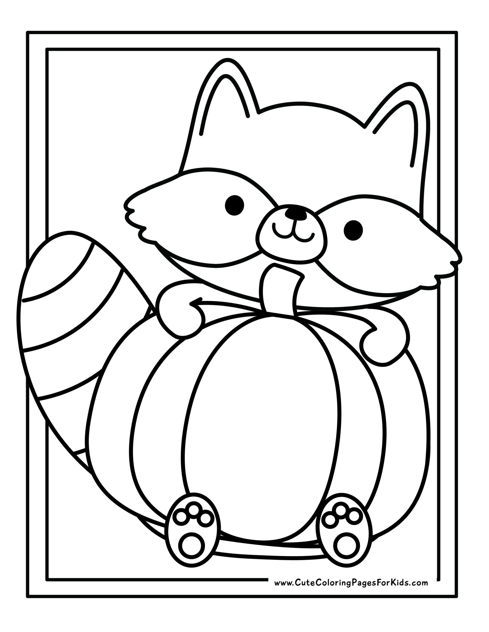 Coloring page, drawing cute raccoon with a huge pumpkin on it with two rows of borders around it.