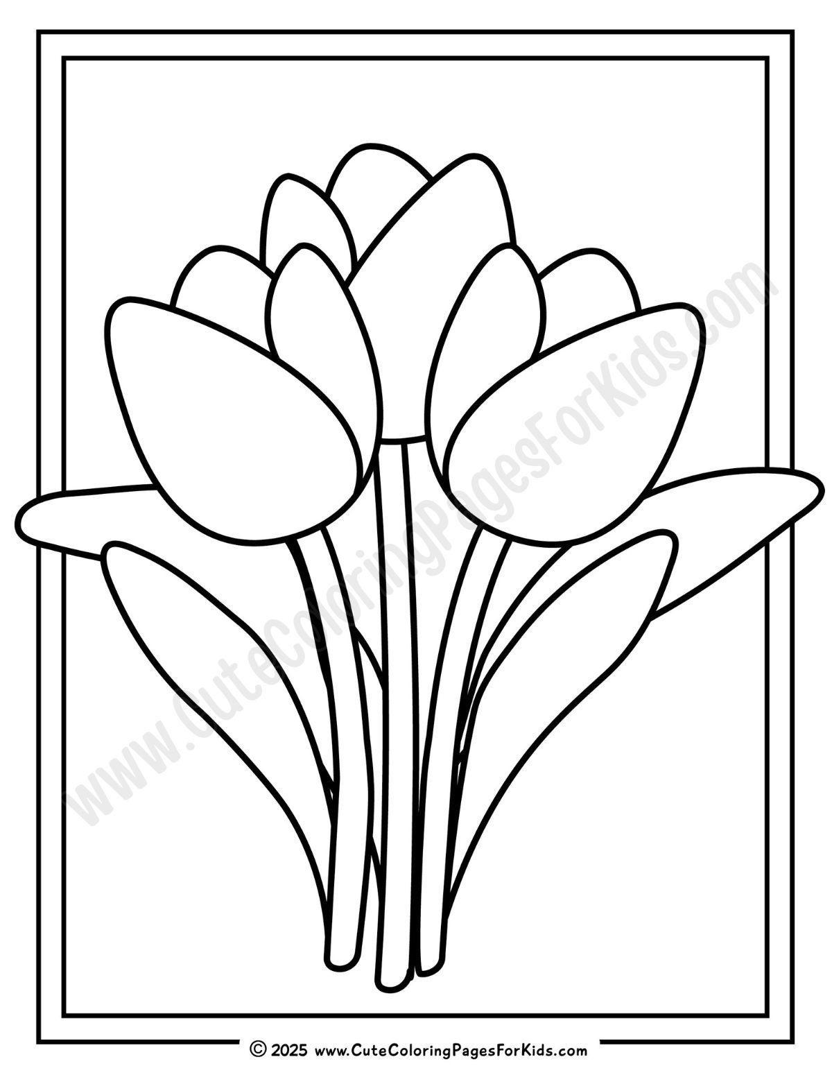 Simple tulip coloring sheet with border