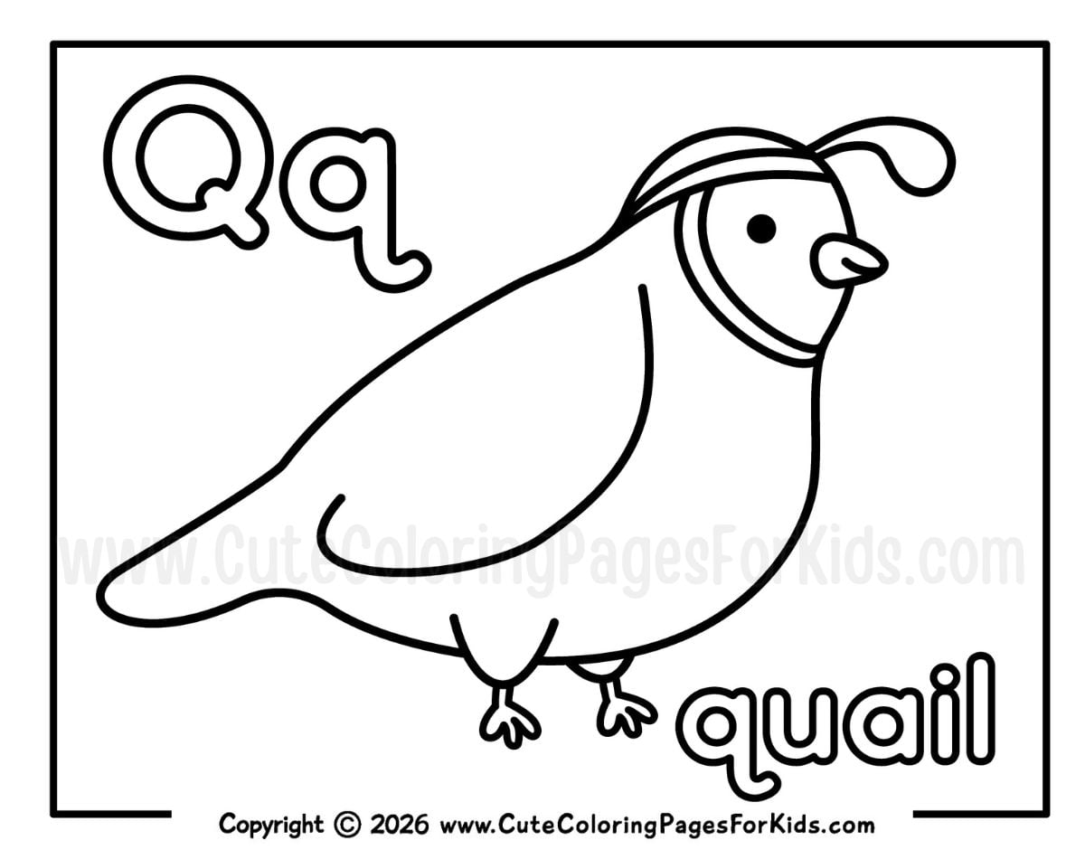 Coloring page for the Letter Q with a cute and simple quail line drawing