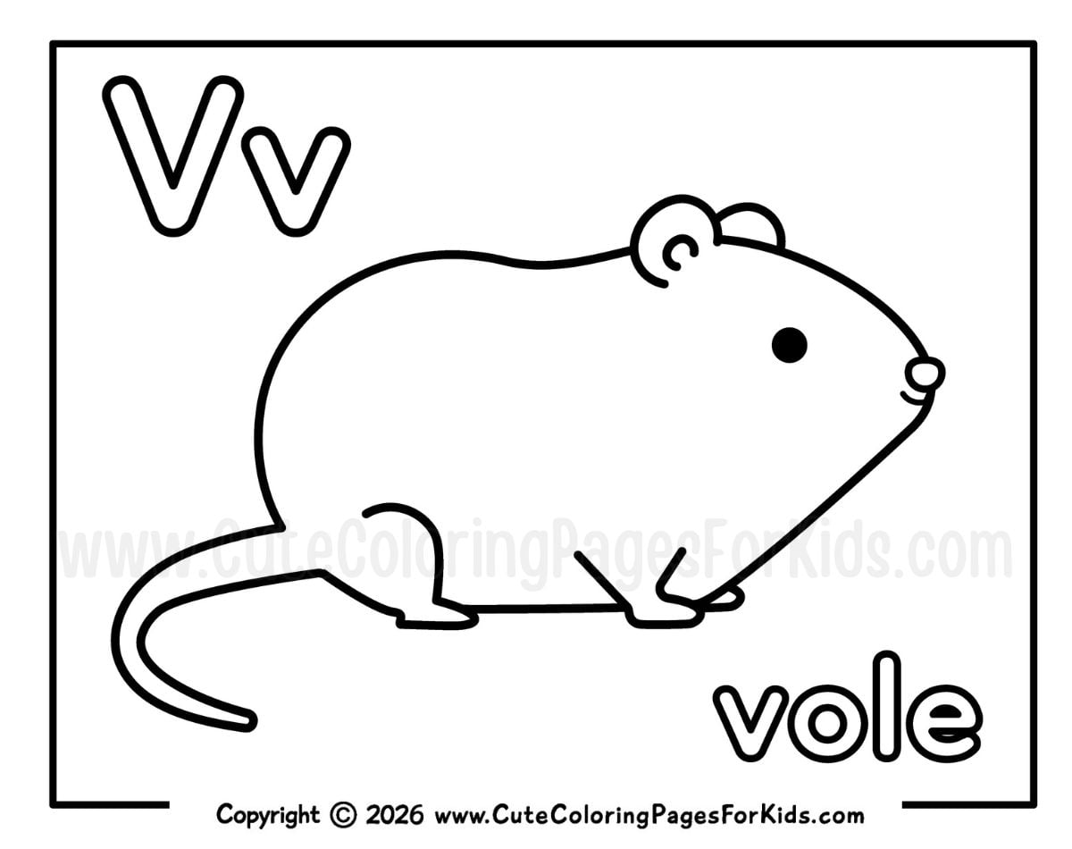 Letter V coloring sheet with a vole to color